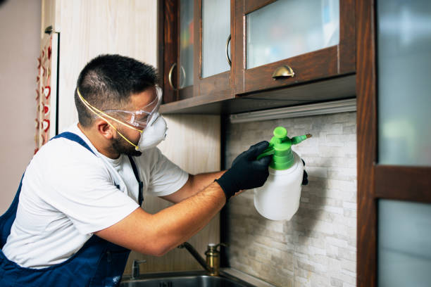Best Pest Removal Services  in Indio, CA