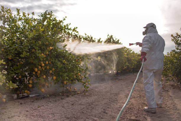 Best Best Pest Control Companies  in Indio, CA
