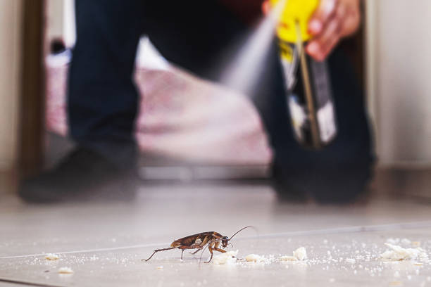 Best Cockroach Control Services  in Indio, CA