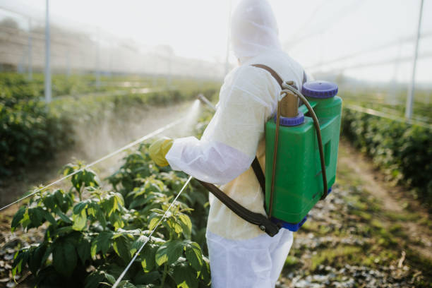 Best Mosquito Control Services  in Indio, CA